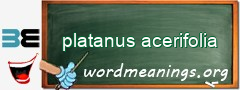 WordMeaning blackboard for platanus acerifolia